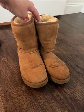 UGG Chestnut Sheepskin Winter Boots